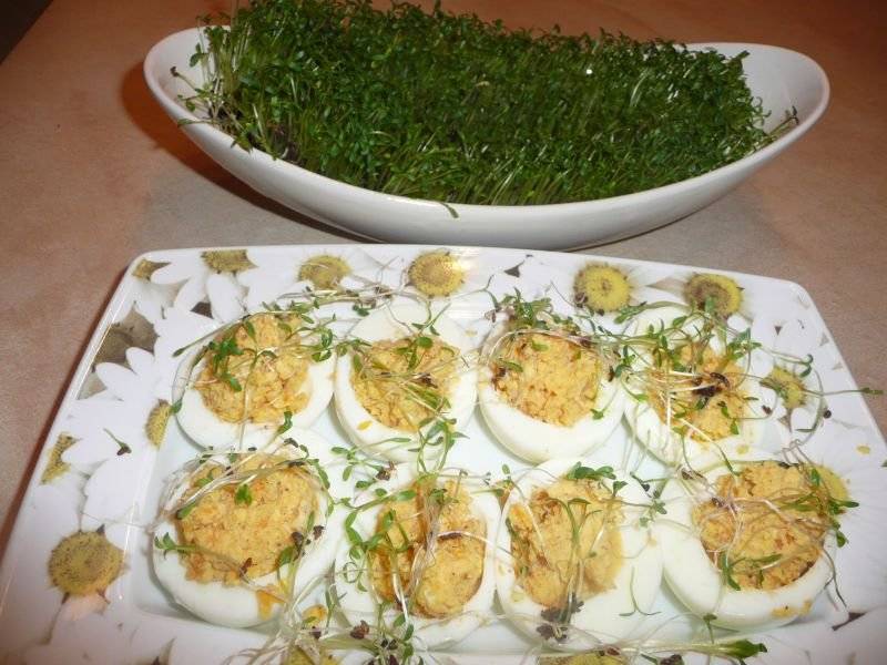 Faszerowane jajka z kremem Dijonnaise