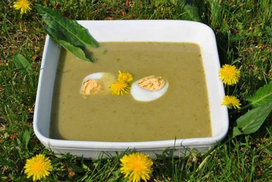 Zupa krem ze szczawiu (szczawiowa)