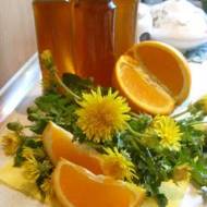 Syrop z mniszka lekarskiego (mlecza) wg receptury św. Hildegardy z Bingen- wersja z cytryną lub pomarańczą :)