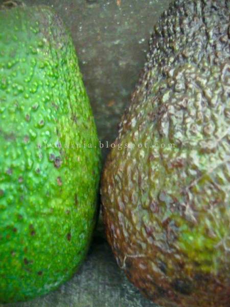 TU I TAM nr 23. Zielony talerz jednorazowego użytku, czyli avocado w zestawie dla 2 osób