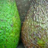 TU I TAM nr 23. Zielony talerz jednorazowego użytku, czyli avocado w zestawie dla 2 osób