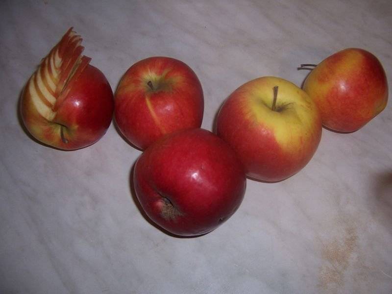 Magiczne jabłka