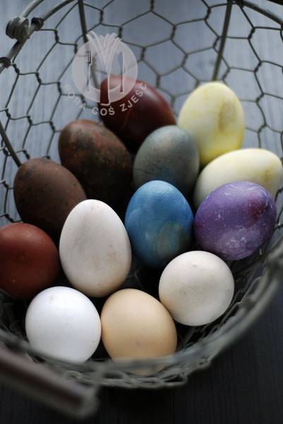 Farbowanie jajek naturalnymi barwnikami