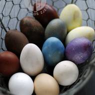 Farbowanie jajek naturalnymi barwnikami
