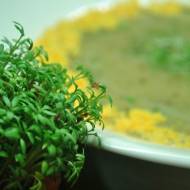 Rzeżuszanka - włoska zupa z polskim akcentem