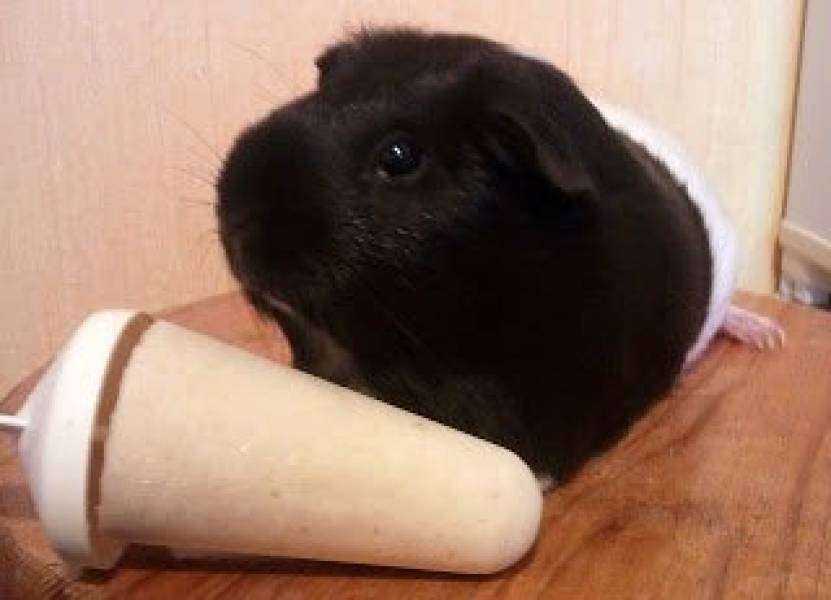 #4. Yogurtowe lody bananowe - czyli jedzenie na pocieszenie ;)
