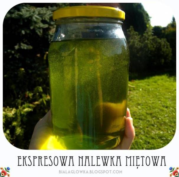 Ekspresowa nalewka miętowa