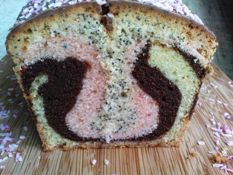 Babka kwitnący tulipan