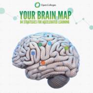 Poznaj mapę swojego mózgu!