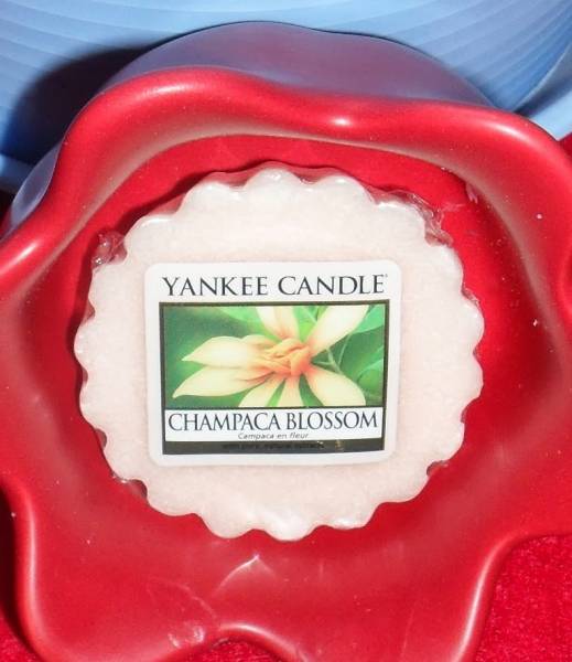 *** Zapachy w moim domu , w mojej kuchni *** Piątki z Yankee Candle CHAMPACA BLOSSOM