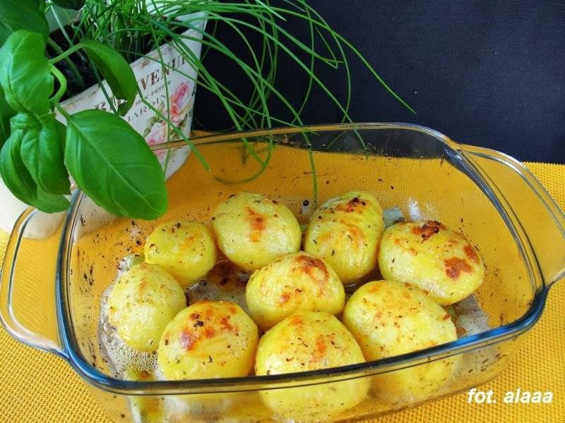 Zapiekane ziemniaki