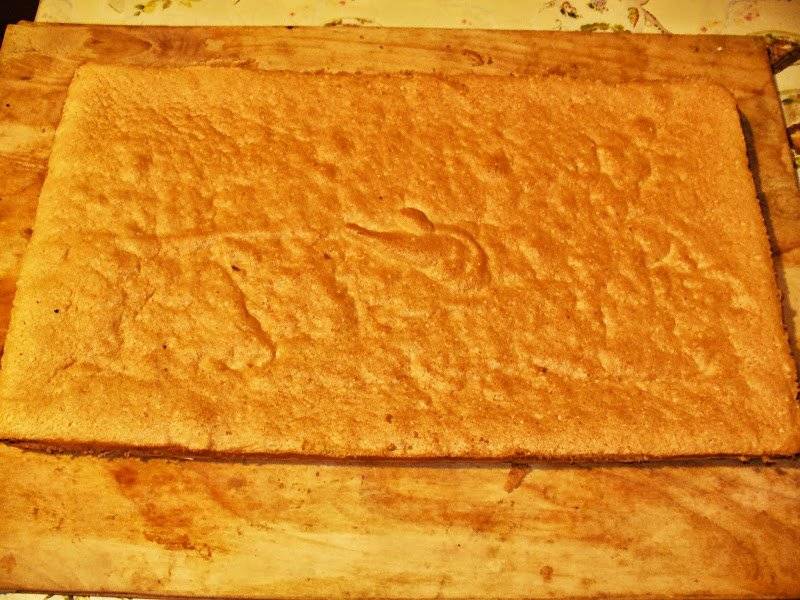Ciasto biszkoptowe Camargo 2