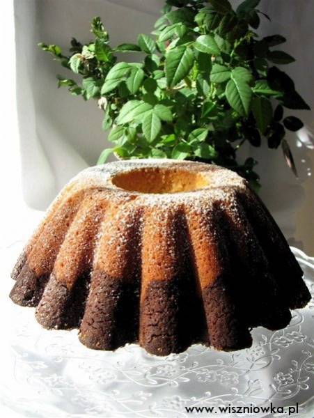 Babka waniliowo-kakaowa