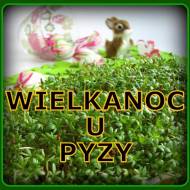 Wielkanoc u Pyzy