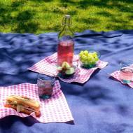 Piknik Majowy - Wyzwanie blogerek i  blogerów