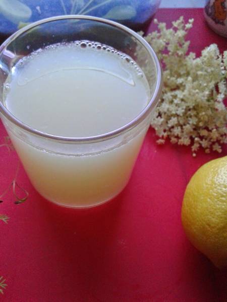 Lemoniada z kwiatów czarnego bzu