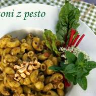 Makaron rigatoni z pesto z  Mangolda