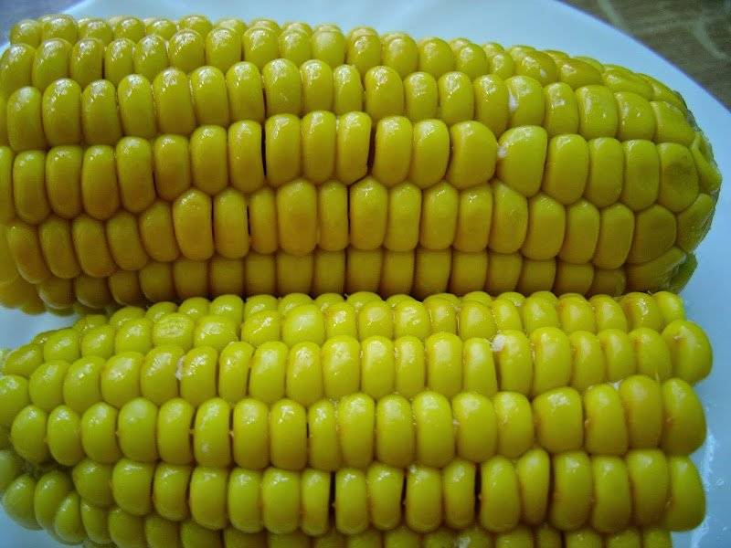 Kukurydza gotowana.