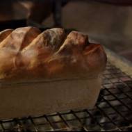 Porady kulinarne: Jak sprawić by chleb nie pleśniał?