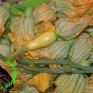 Faszerowane kwiaty dyni-- Ripiene Squash Blossoms ...