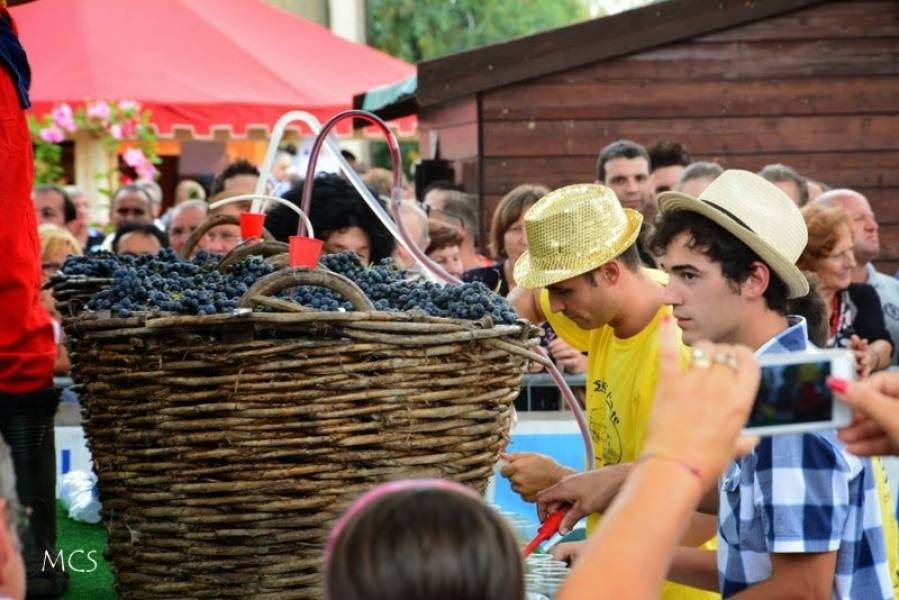 Festa dell’Uva, Vò 2014- Festiwal Wina