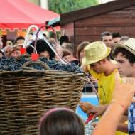 Festa dell’Uva, Vò 2014- Festiwal Wina
