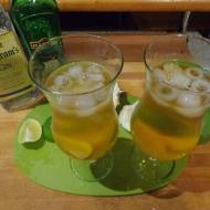 Gin z tonikiem, limonką i zielonym grapefruitem