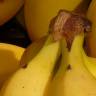 dieta bananowa 