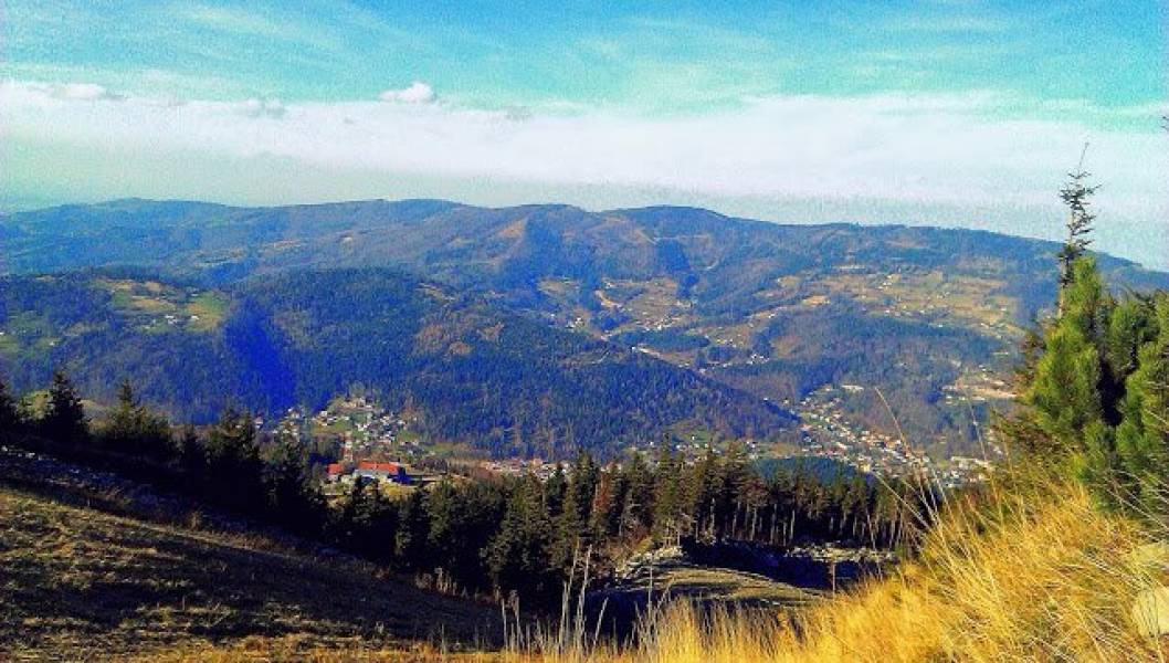 Grillowany oscypek z żurawiną