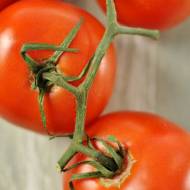 Sos pomidorowy ze świeżych pomidorów z pieczoną cebulą z szybkowaru
