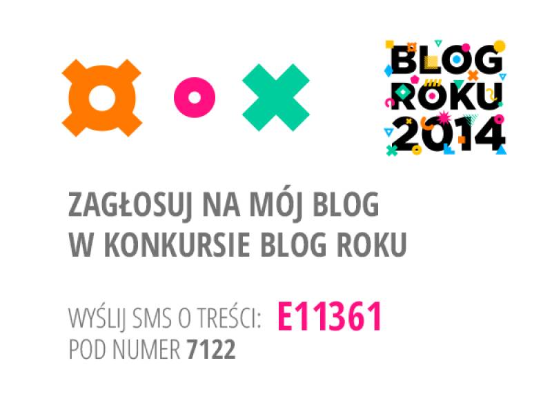 Blog ROKU 2014 - rozpoczęło się głosowanie!