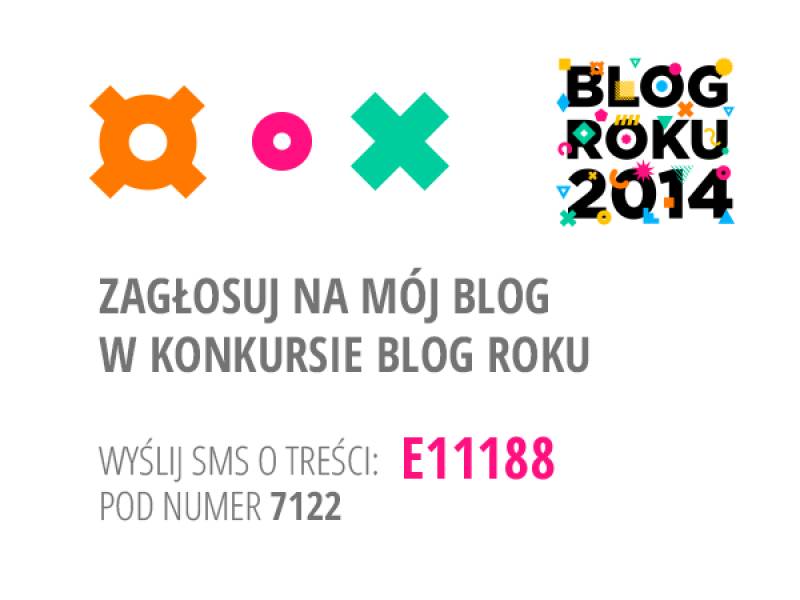 Blog  Roku 2014