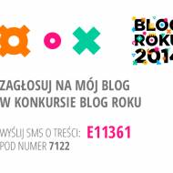 Blog ROKU 2014 - rozpoczęło się głosowanie!