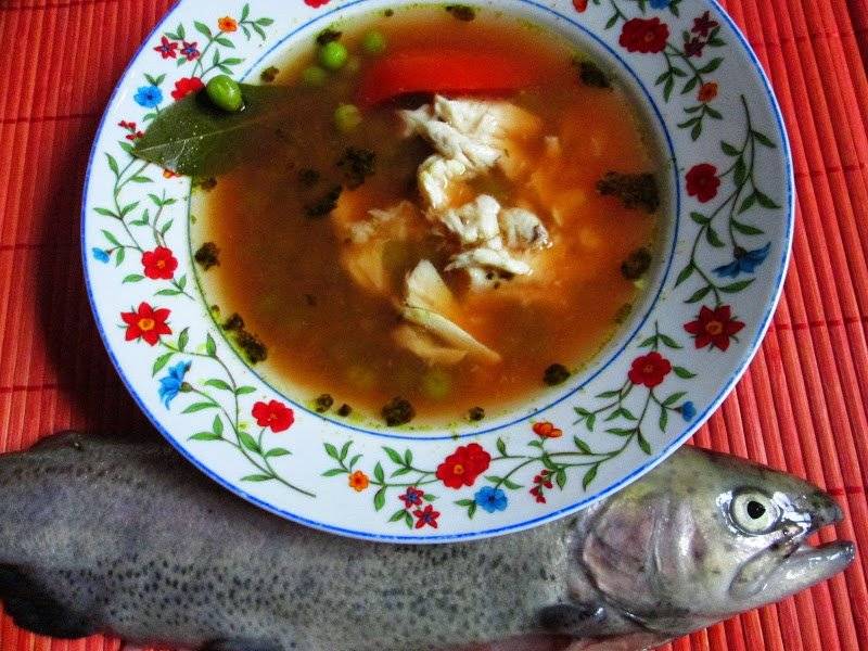 Zupa rybna z pstrąga