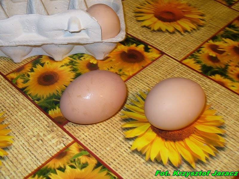 Jak odróżnić jajko ugotowane od surowego.