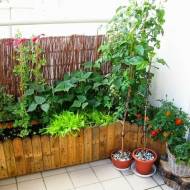 Ogródek na balkonie - inspiracje