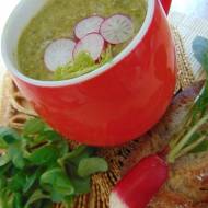 Wiosenna zupa z liści rzodkiewki – przepis.