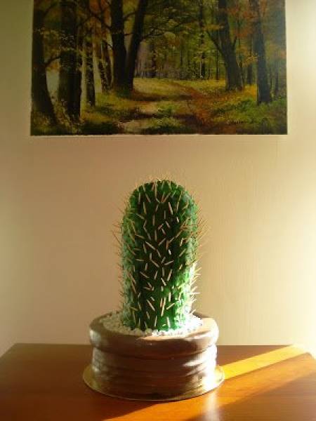 Tort kaktus