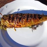 Makrela z grilla z koperkiem i nutą cytrynową
