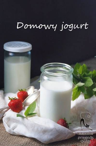 Naturalny jogurt domowy