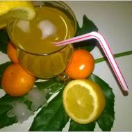 Orzeźwiający napój herbaciano - mandarynkowy