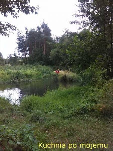 Nad Rawkę, czyly rodzinny wypad na łono natury.