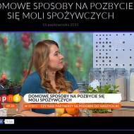 Mole spożywcze – jak się ich pozbyć  (oraz film z Pytania na Śniadanie)