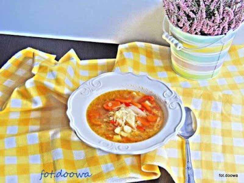 Zupa kapuściano - paprykowa