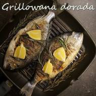 Grillowana dorada