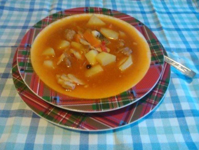 zupa gulaszowa ala strogonow