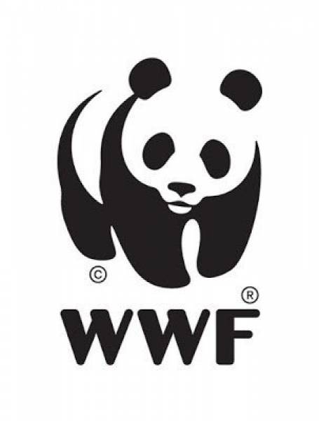 Warsztaty WWF 