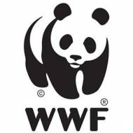 Warsztaty WWF 