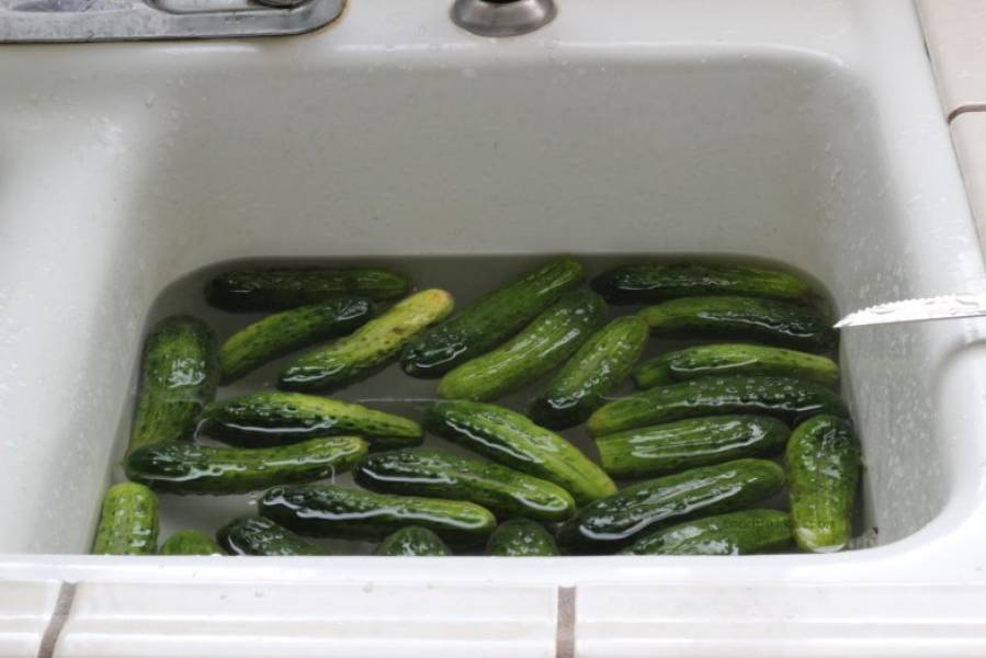 My miserable youth was filled with this cucumber dish