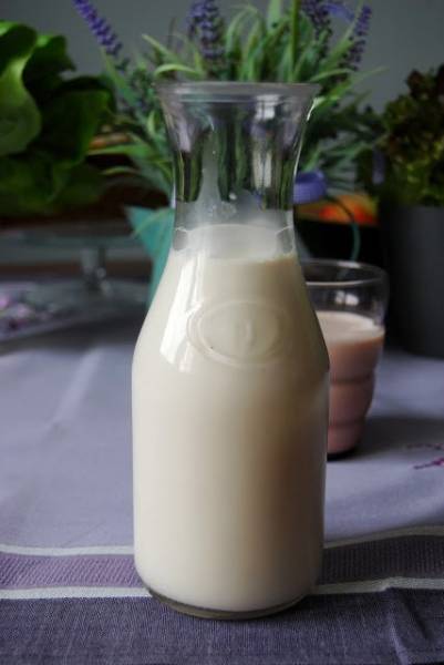 Domowe mleko z orzechów laskowych